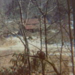 Mr. Opossum on Limb with
Cliff Morgan's house in background